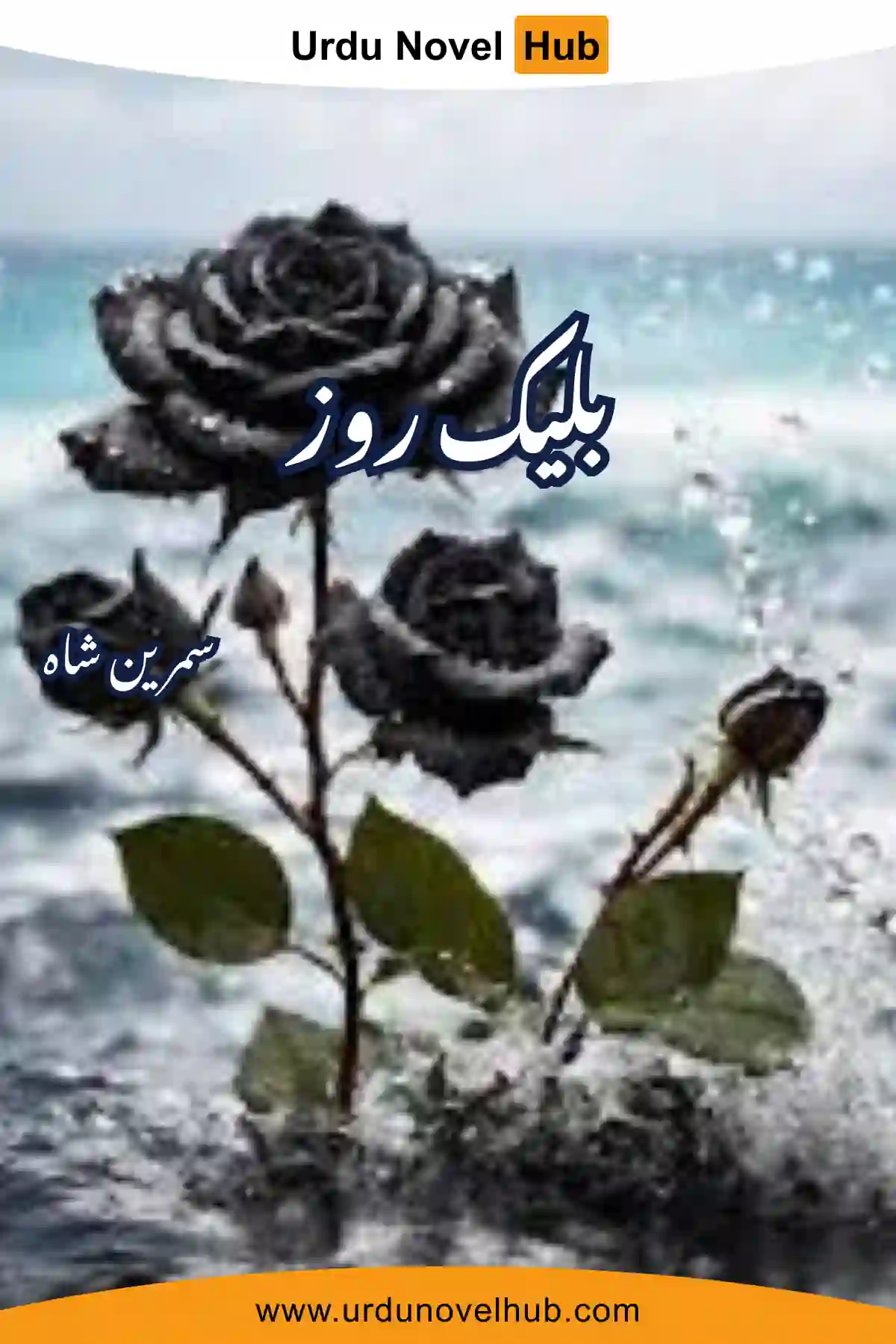 Black Rose Novel By Samreen Shah 6309