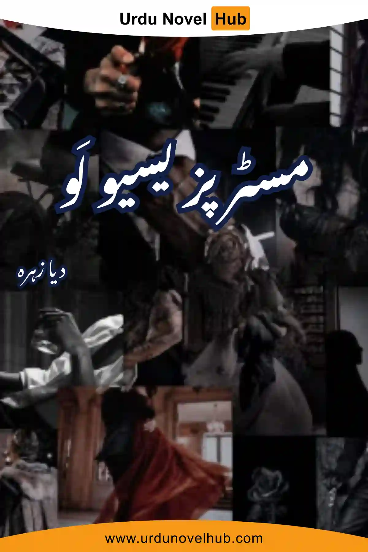 Mr Possessive Love Novel By Dia Zahra