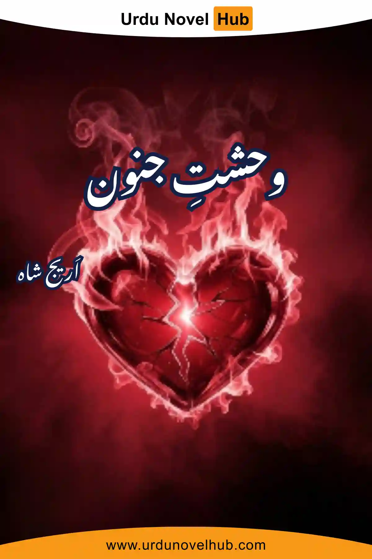 Wahshat E Junoon Novel By Areej Shah