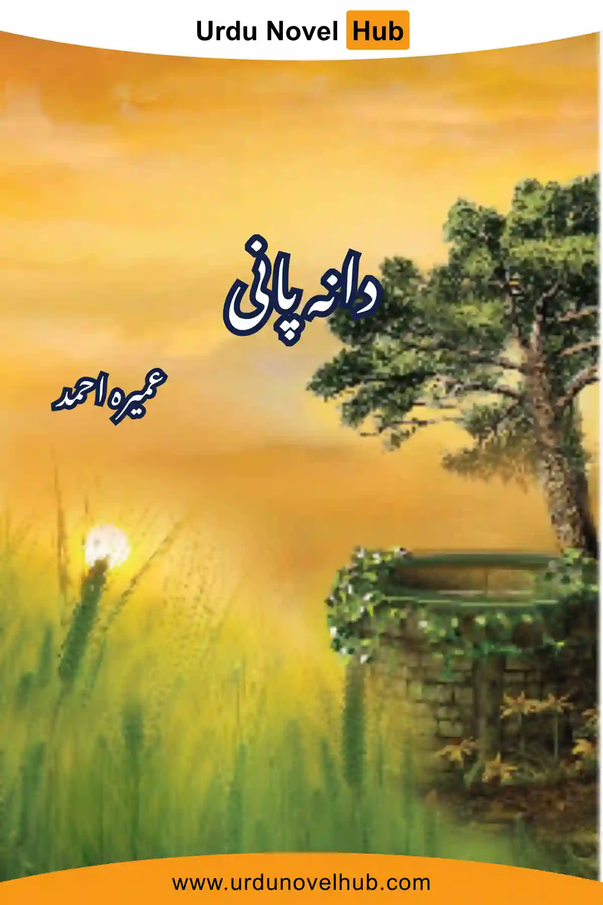 Dana Pani Novel By Umera Ahmed Complete All Episodes