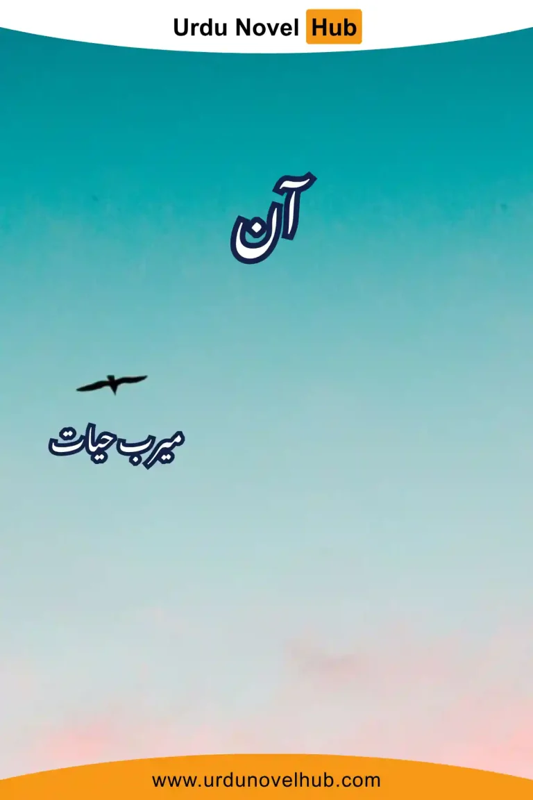 Aan Novel By Meerab Hayat