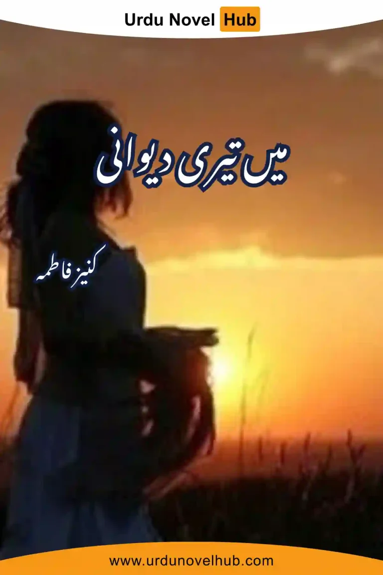 Main Teri Deewani Novel By Kinza Fatima