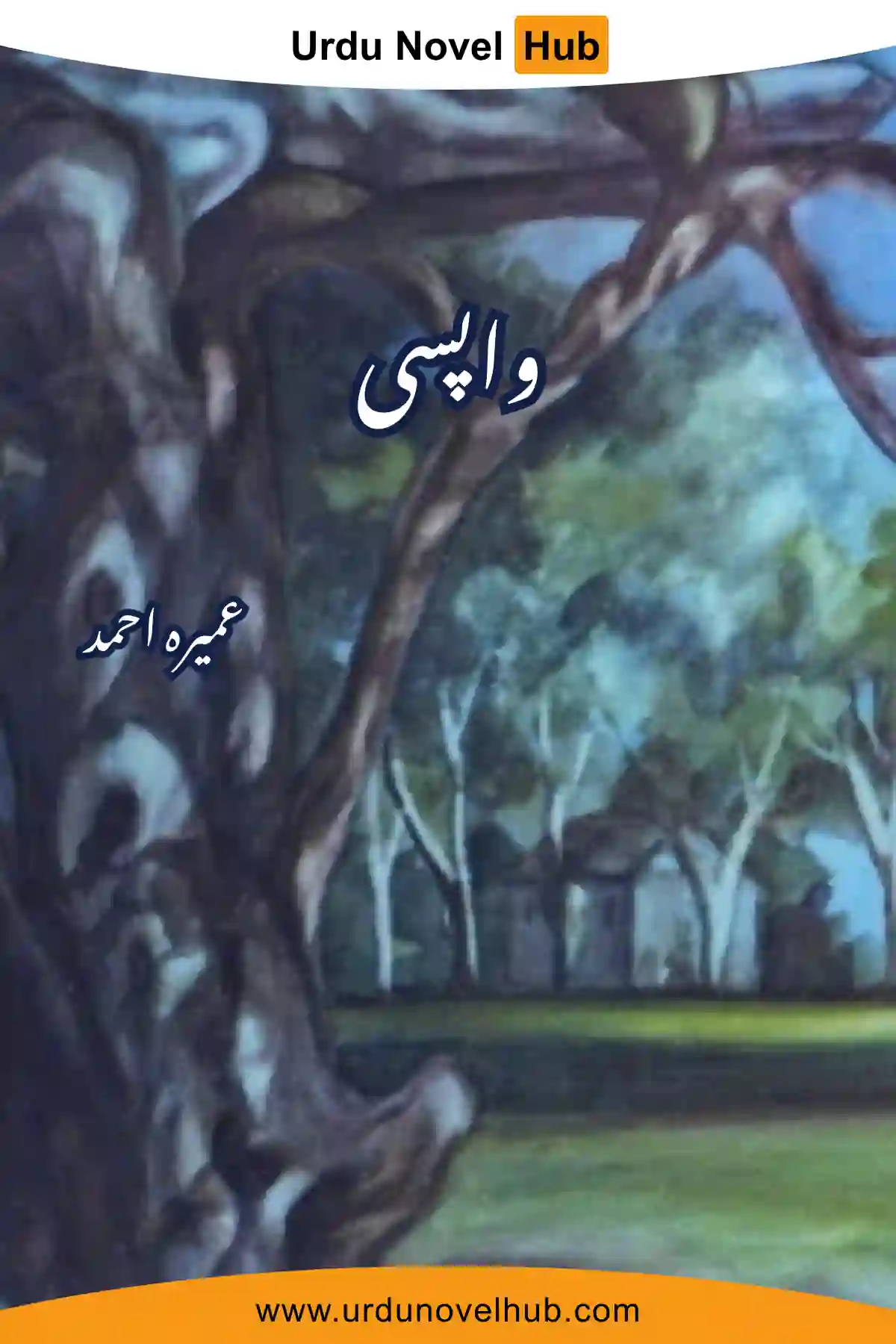 Wapsi Novel By Umera Amed
